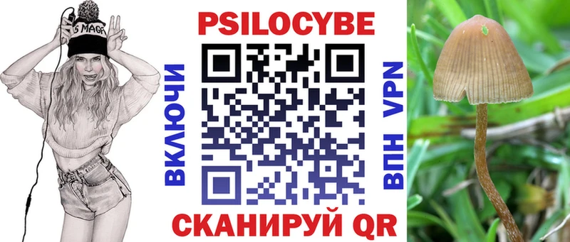 MEGA ТОР Брюховецкая Псилоцибиновые грибы мицелий закладка